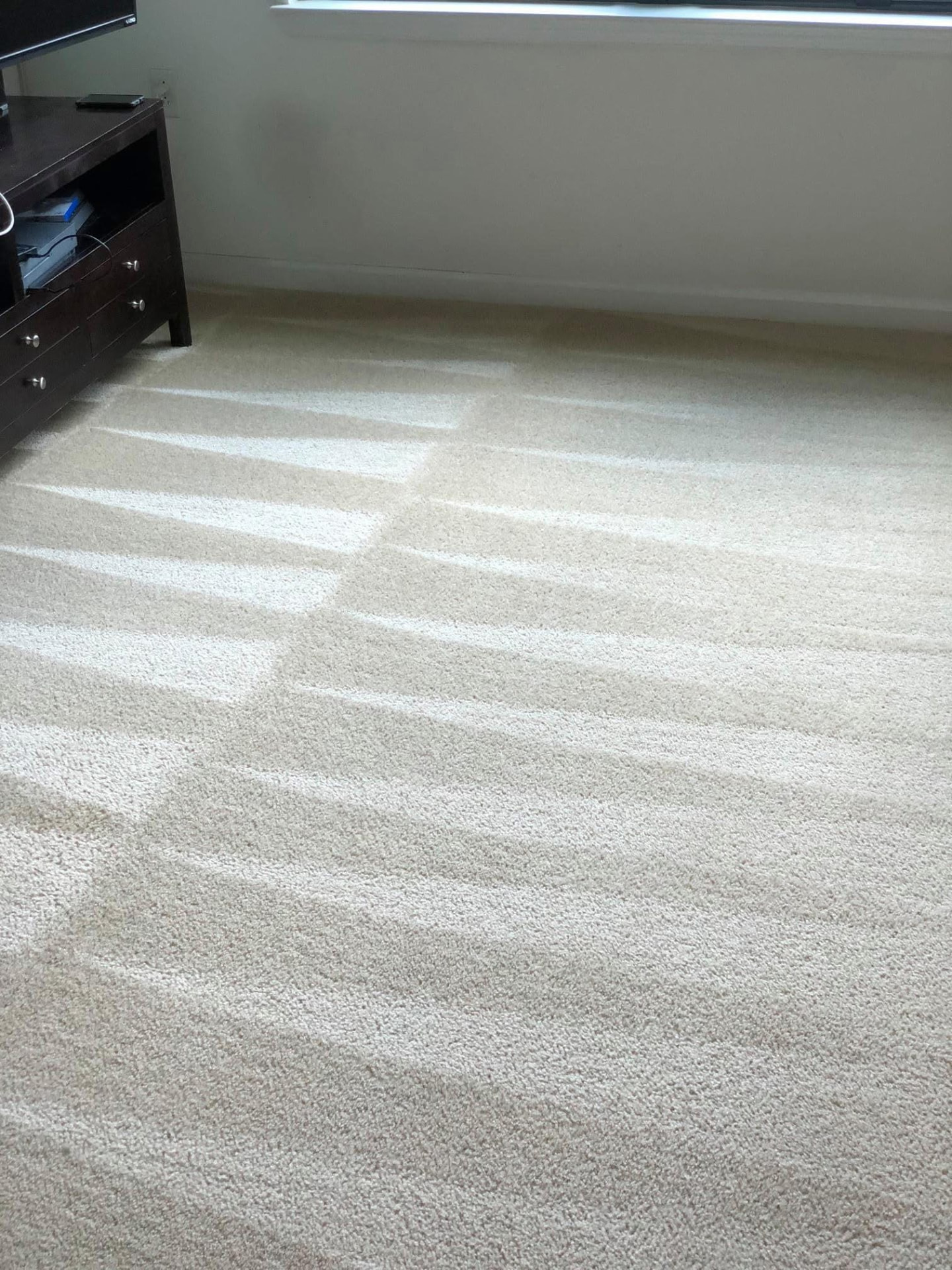 Living room carpet after deep extraction