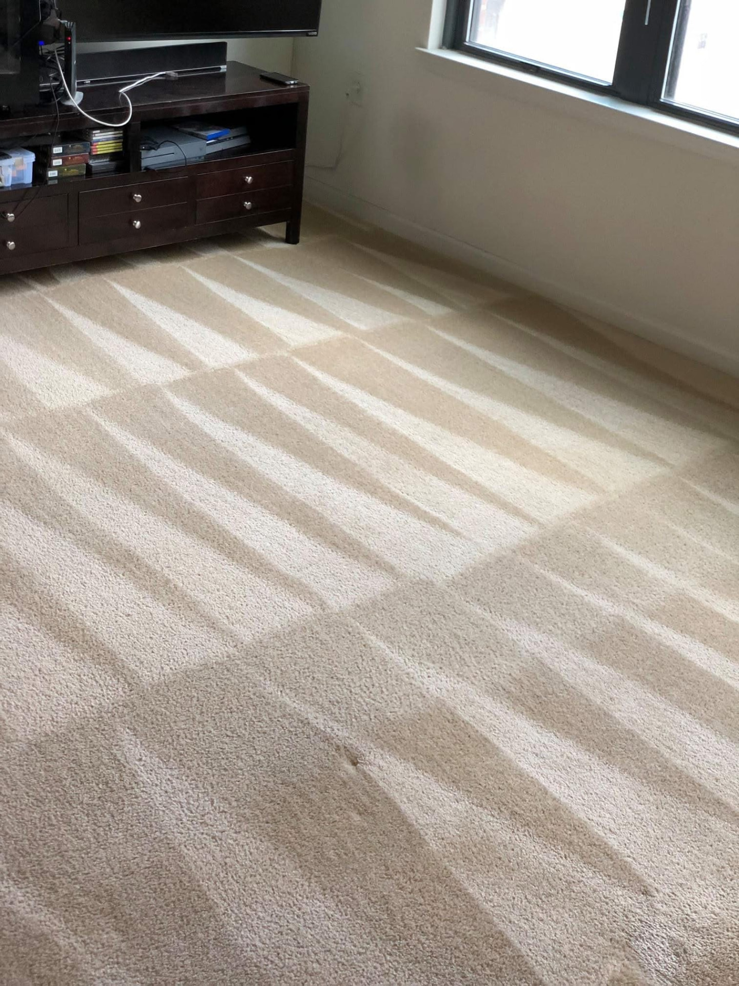 Freshly cleaned carpet with groomed pile lines