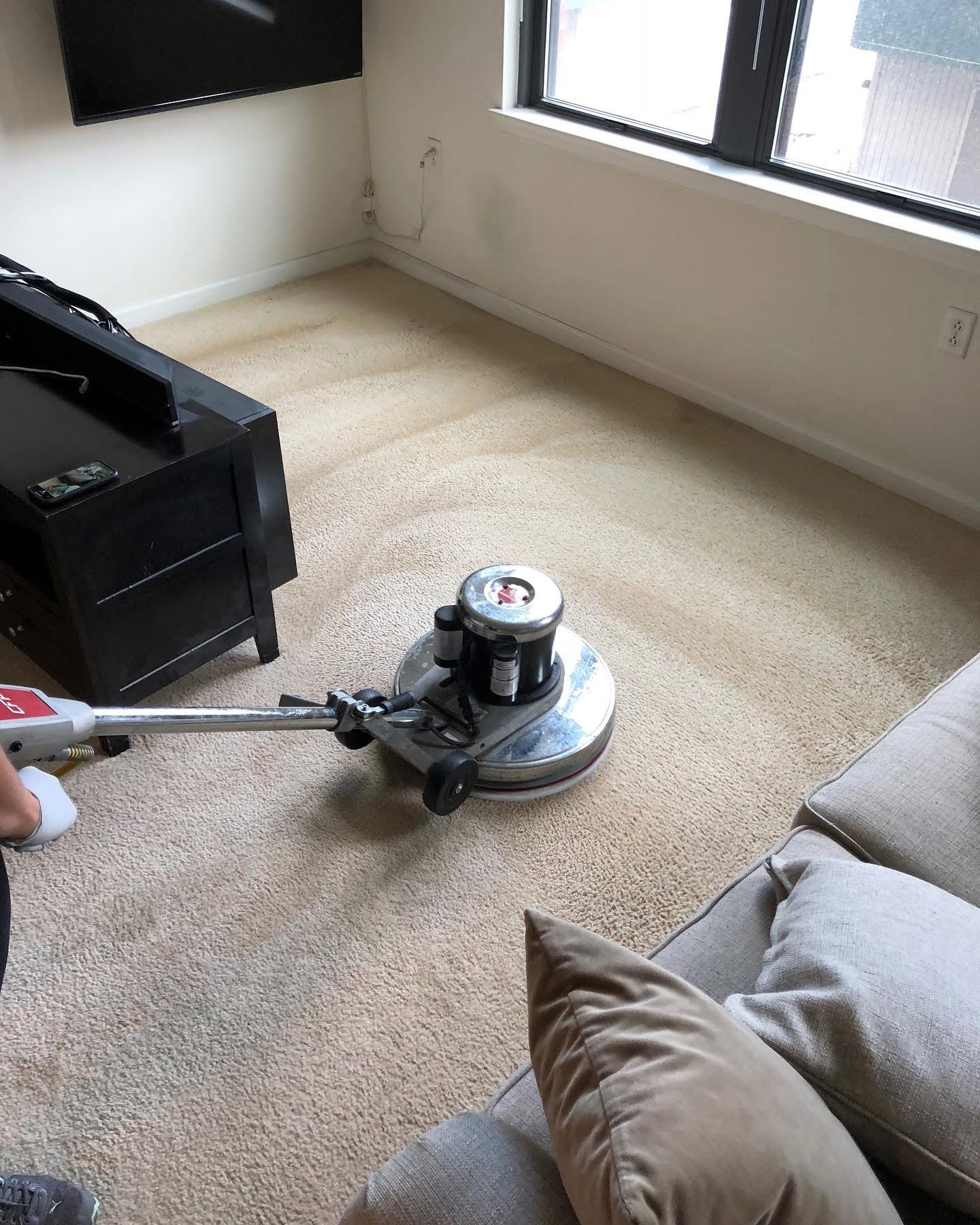 Professional carpet cleaning equipment