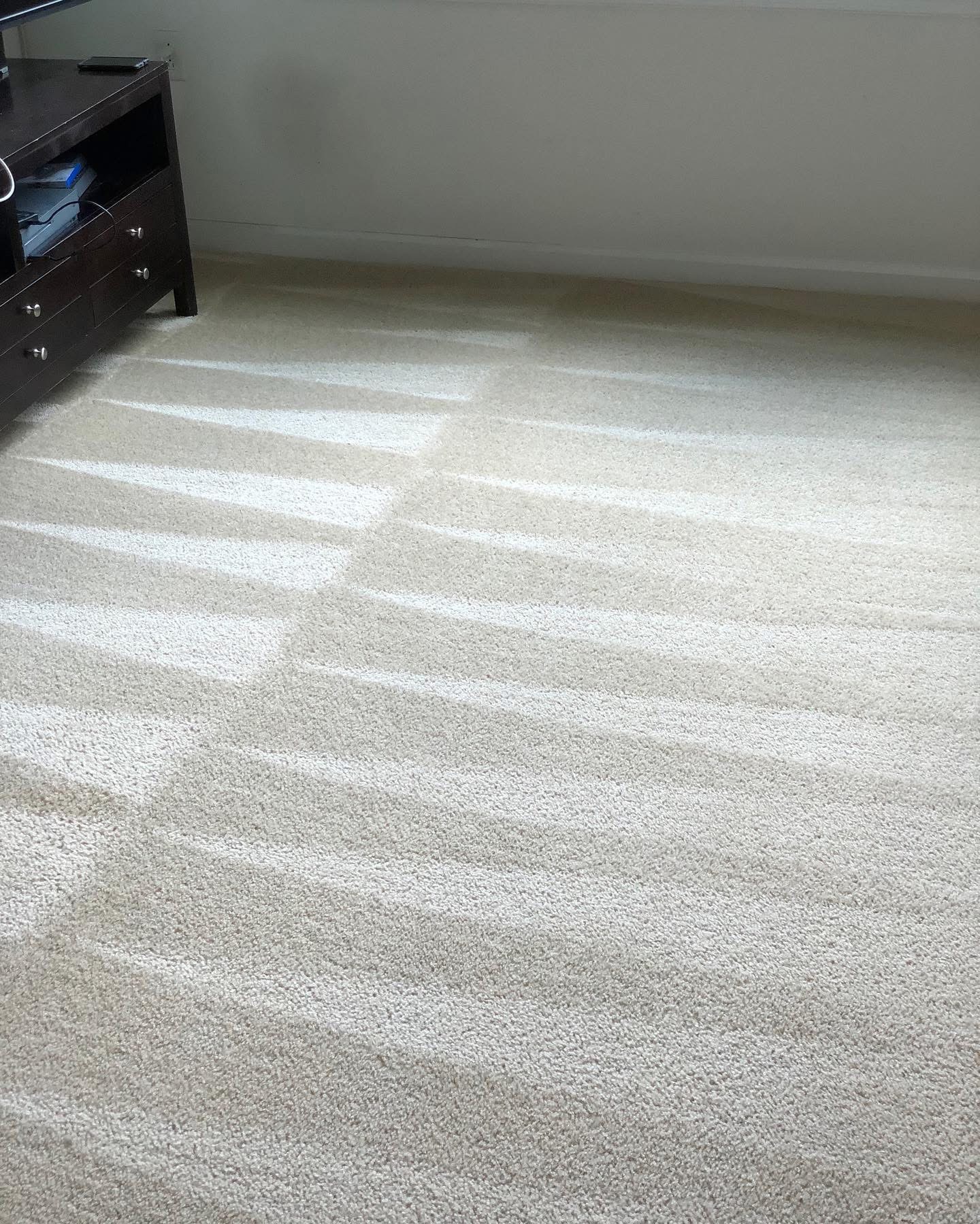 Even, refreshed pile after a deep clean